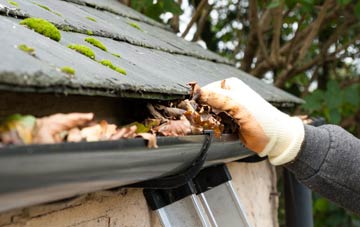 gutter cleaning Great Cowden, East Riding Of Yorkshire